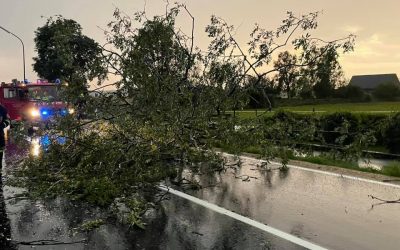Sturmschäden #THL