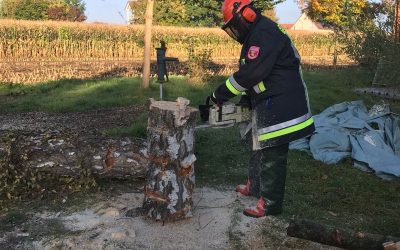 Teilnahme an Motorsägen-Lehrgang