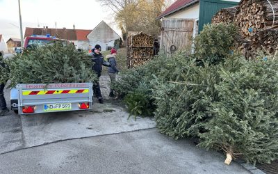 #Erfolgreiche Christbaumsammelaktion