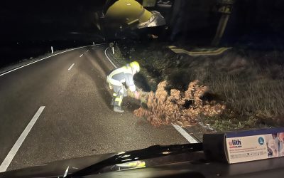 Baum auf Fahrbahn #THL