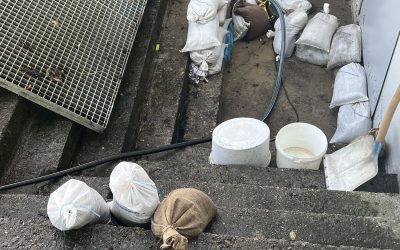 Gerätehaus besetzen #THL