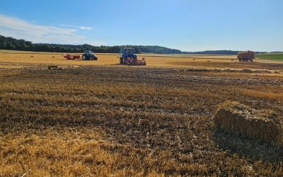 Brand Freifläche #Brandeinsatz Einsatz Nr. 12/2025